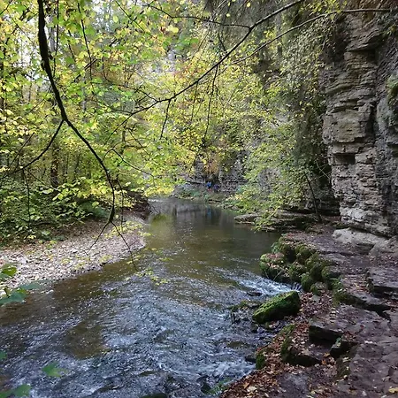 Wildkraeuter-gasthof Linde Penzion