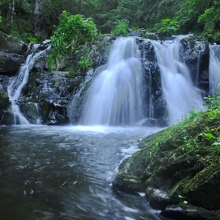 Wildkraeuter-gasthof Linde Guest house