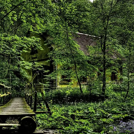 Wildkraeuter-gasthof Linde Löffingen