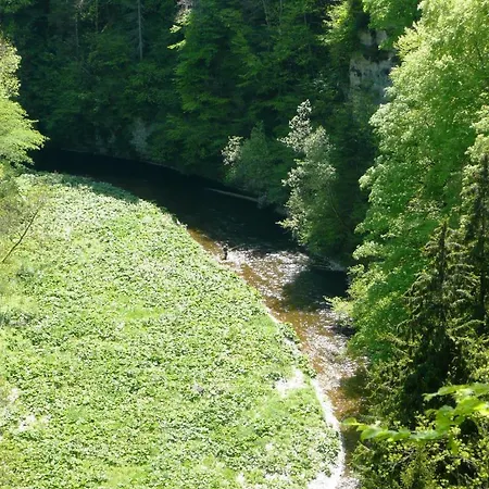 Penzion Wildkraeuter-gasthof Linde
