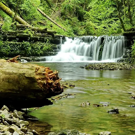 Wildkraeuter-gasthof Linde